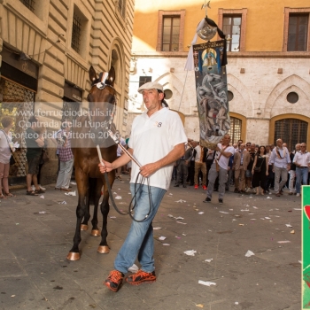 Contrada della Lupa - Corteo della Vittoria